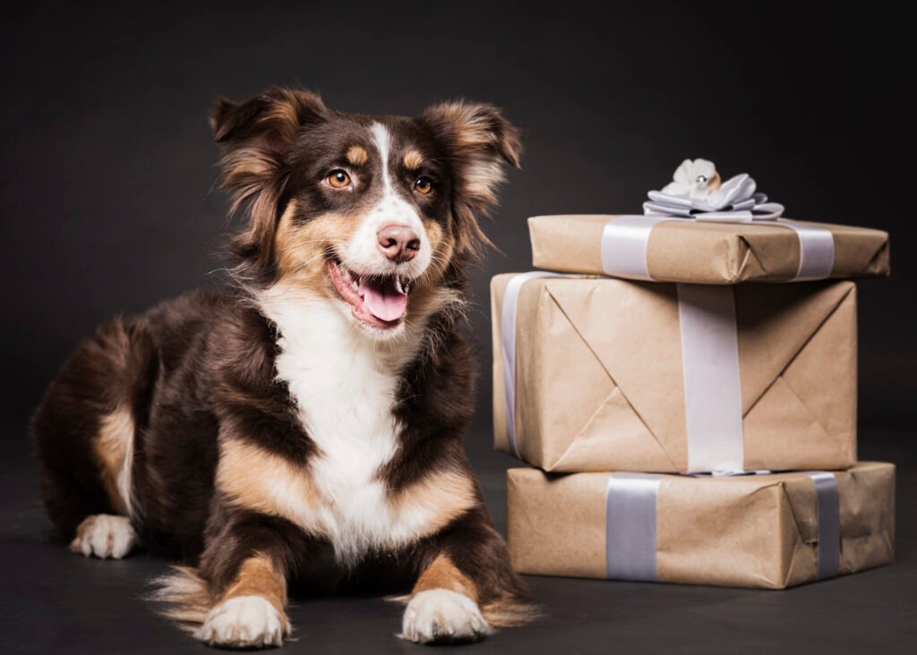 cadeau pour chien