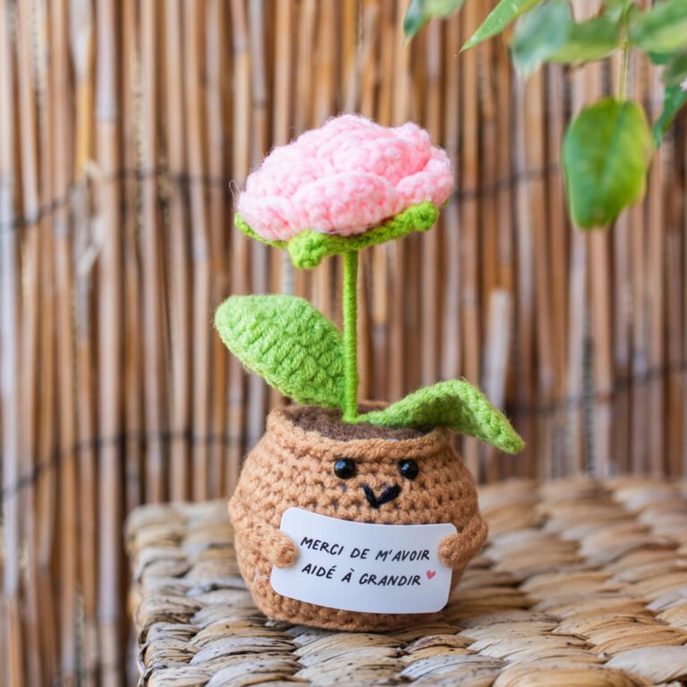 cadeau plante remerciement