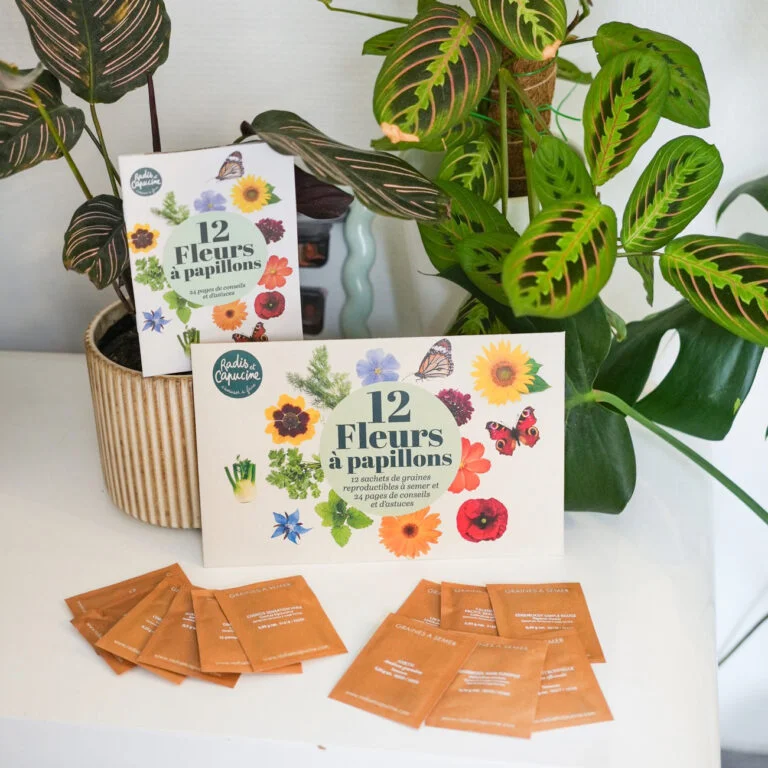 cadeau graines fleurs