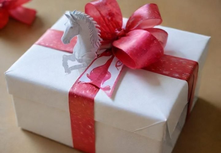 cadeau équitation, cadeau pour cheval